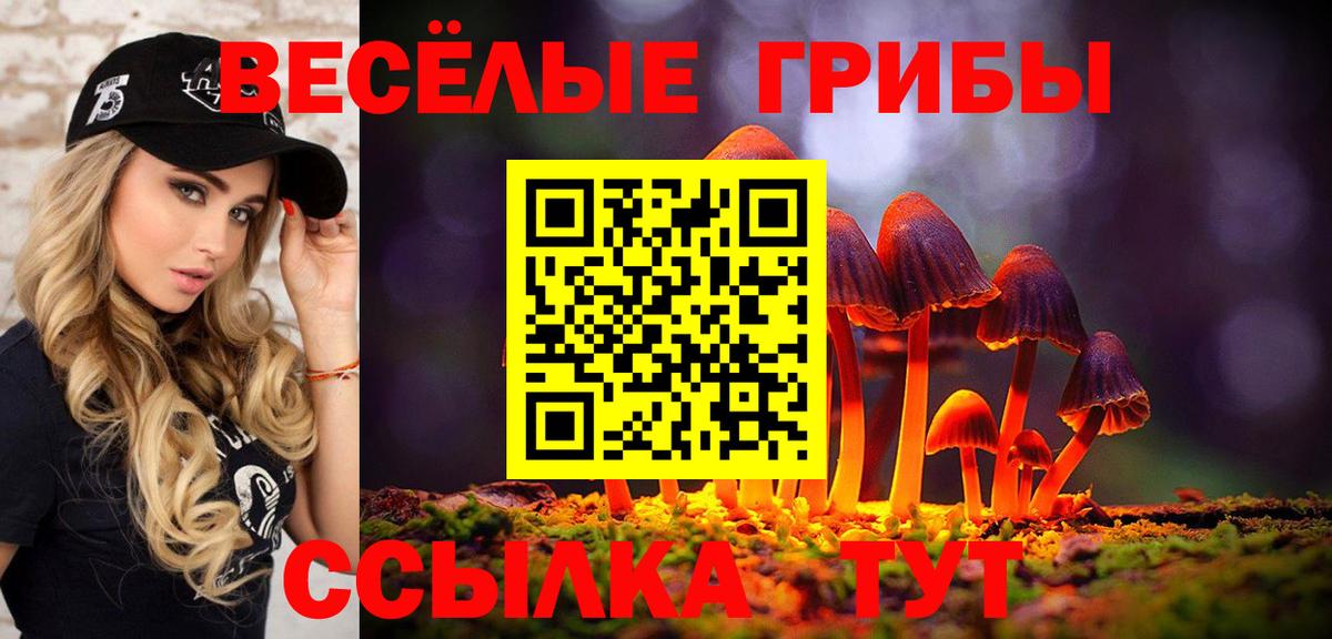 Галлюциногенные грибы ЛСД Кумертау