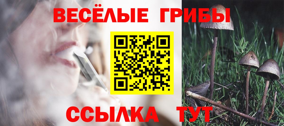Кумертау  Галлюциногенные грибы GOLDEN TEACHER  Вход с VPN 